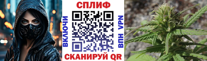 Купить где  Удачный  Конопля план 